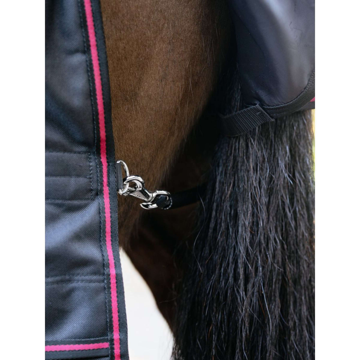 LeMieux Tappeto da Esterno Arika Storm-Tek 100g Nero