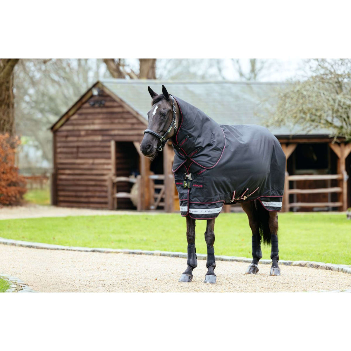 LeMieux Tappeto da Esterno Arika Storm-Tek 100g Nero