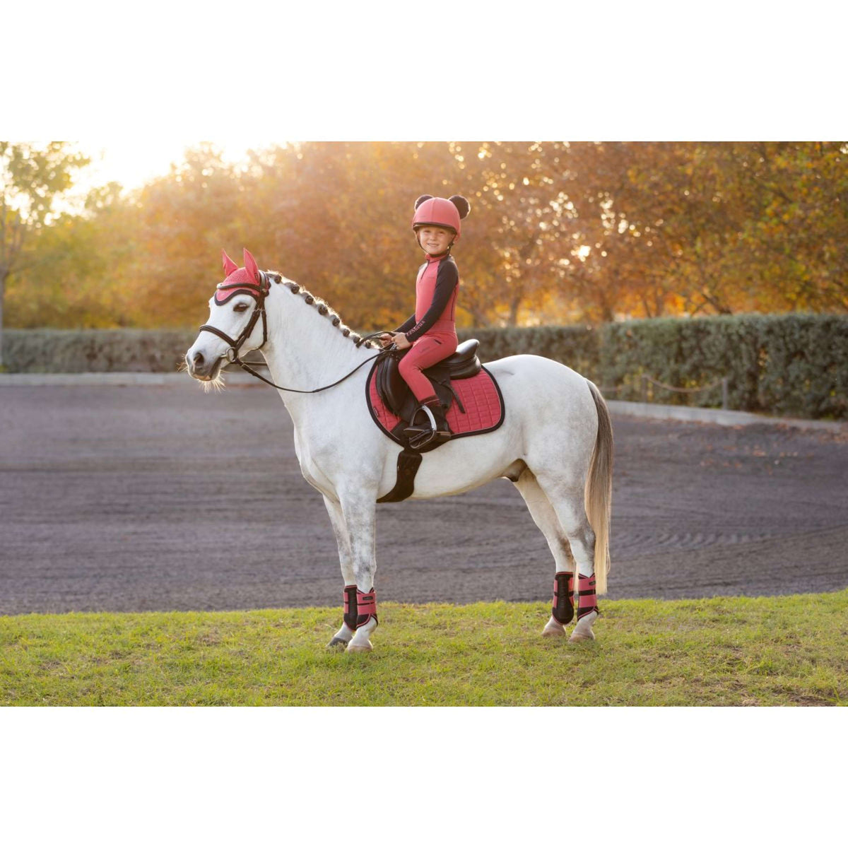 LeMieux Sottosella Mini Suede saltando Cranberry