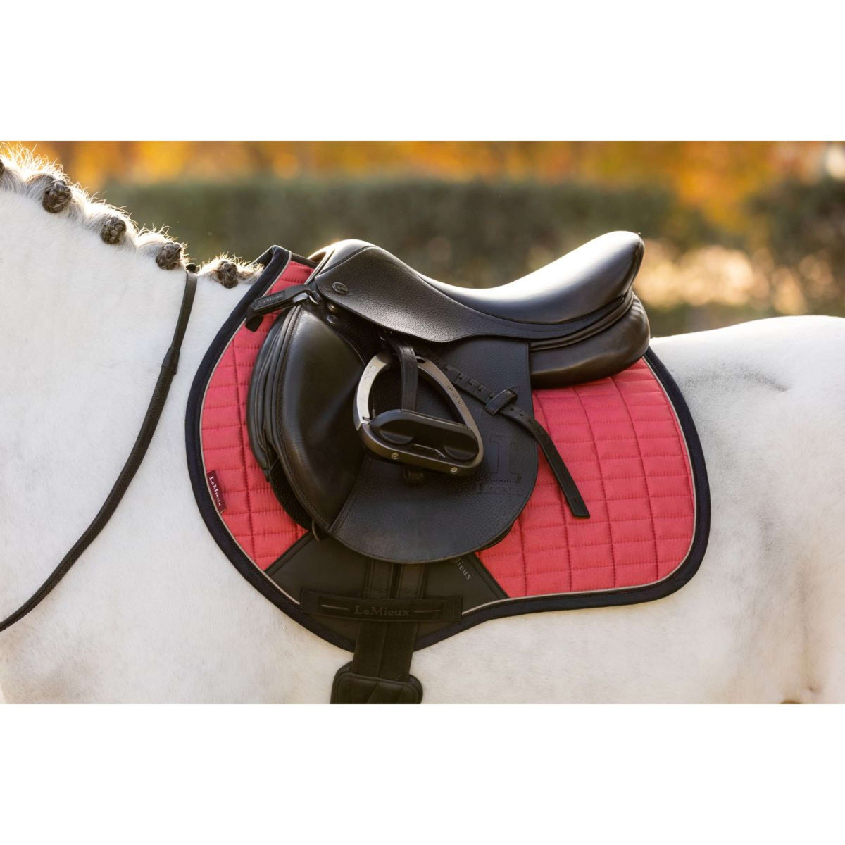 LeMieux Sottosella Mini Suede saltando Cranberry