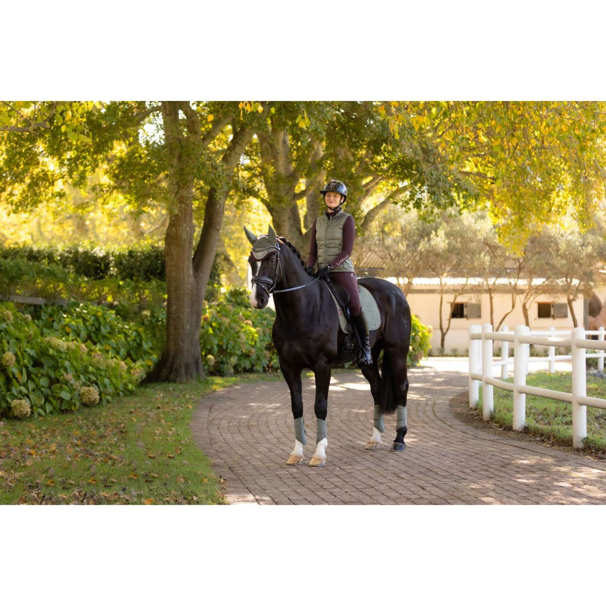LeMieux Sottosella Suede Dressage Rosemary