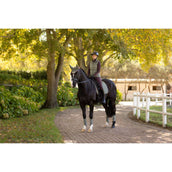 LeMieux Sottosella Suede Dressage Rosemary