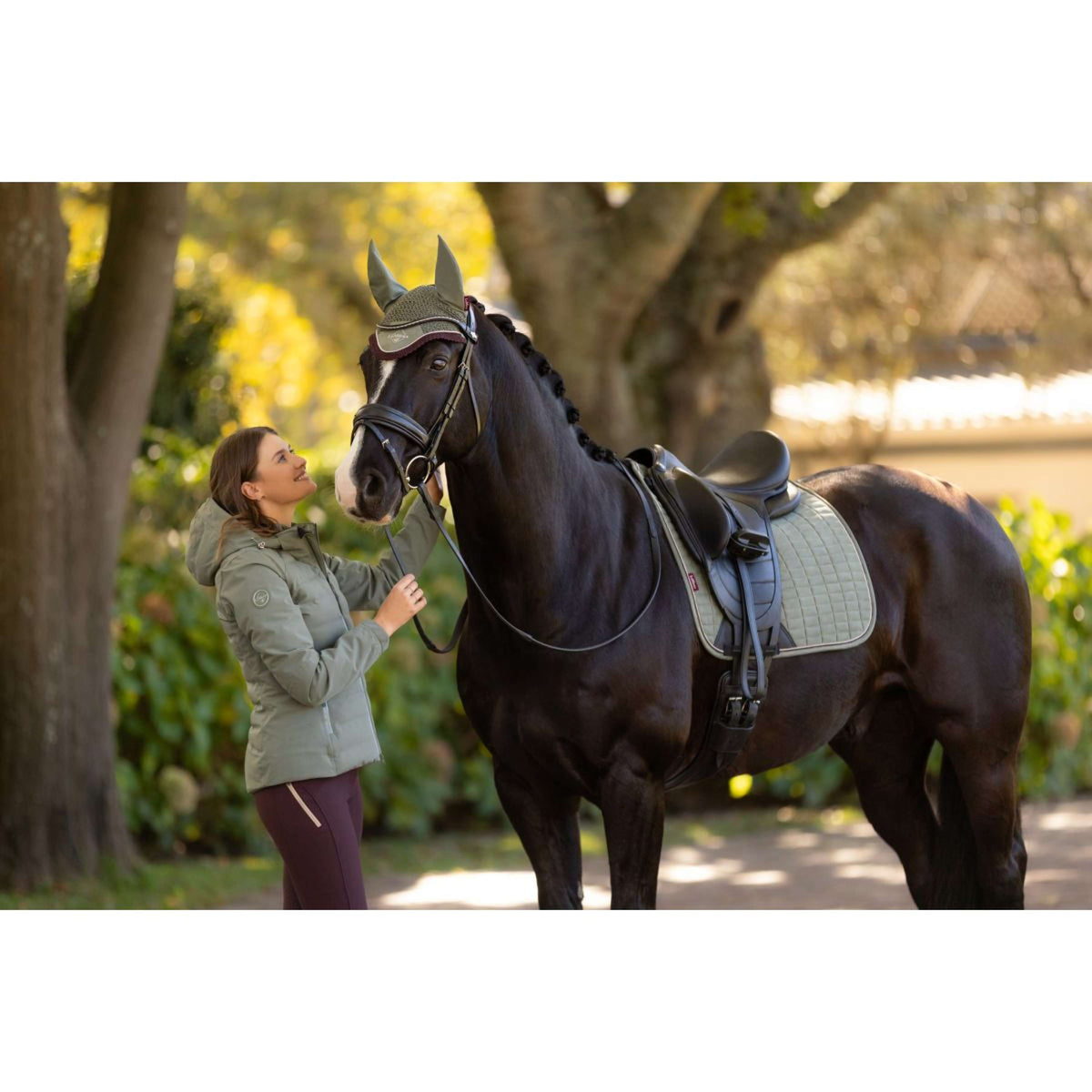 LeMieux Sottosella Suede Dressage Rosemary