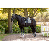 LeMieux Sottosella Suede Dressage Rosemary