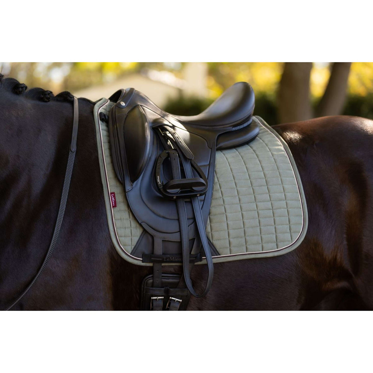 LeMieux Sottosella Suede Dressage Rosemary