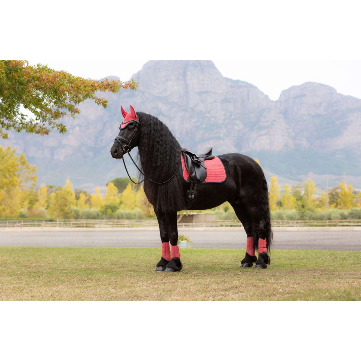 LeMieux Sottosella Suede Dressage Cranberry