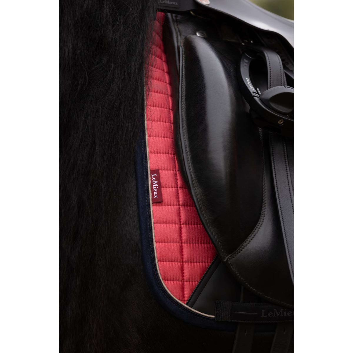 LeMieux Sottosella Suede Dressage Cranberry