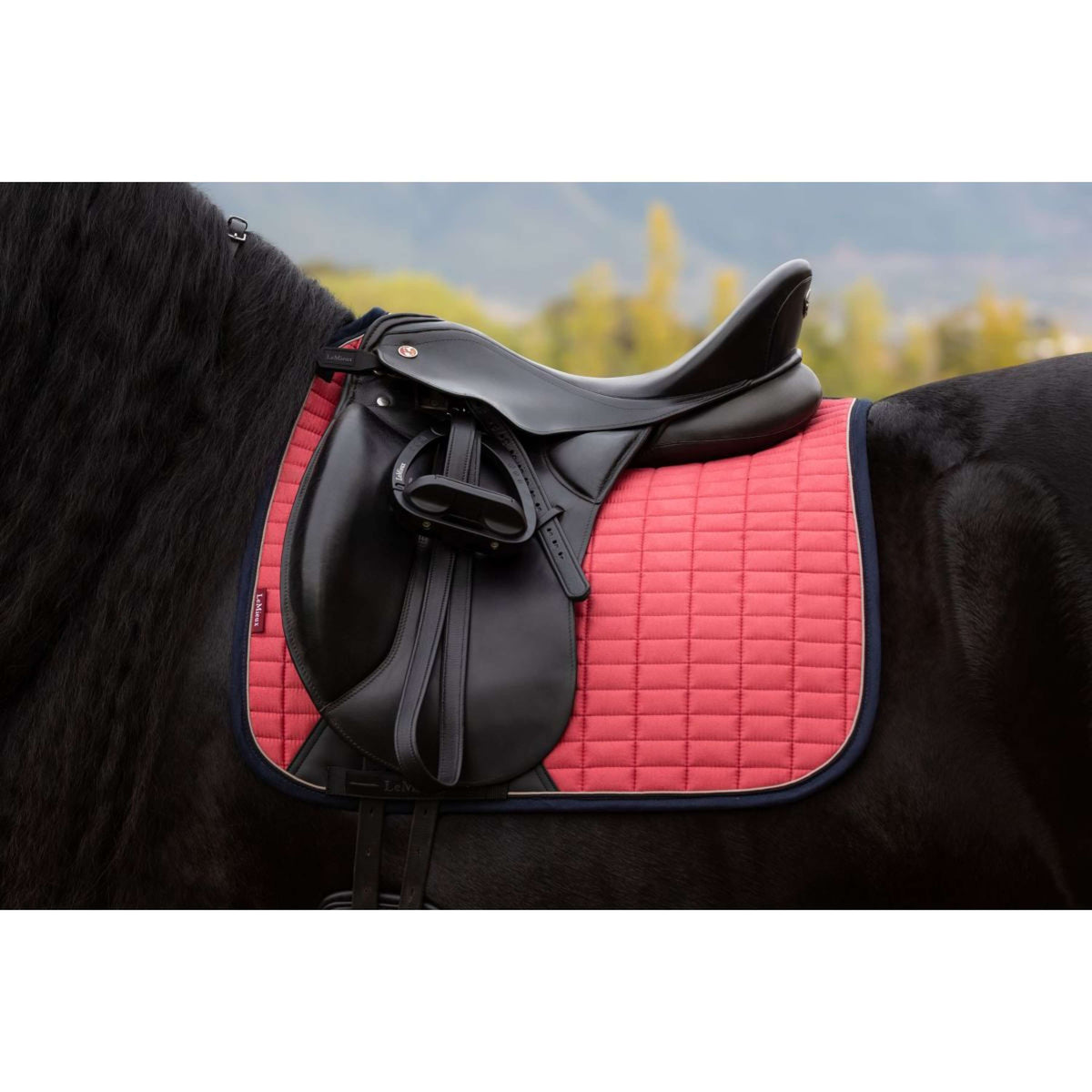 LeMieux Sottosella Suede Dressage Cranberry