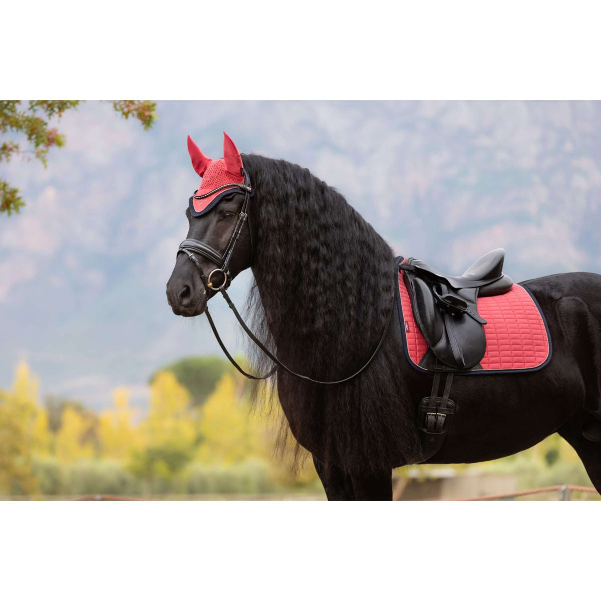 LeMieux Sottosella Suede Dressage Cranberry