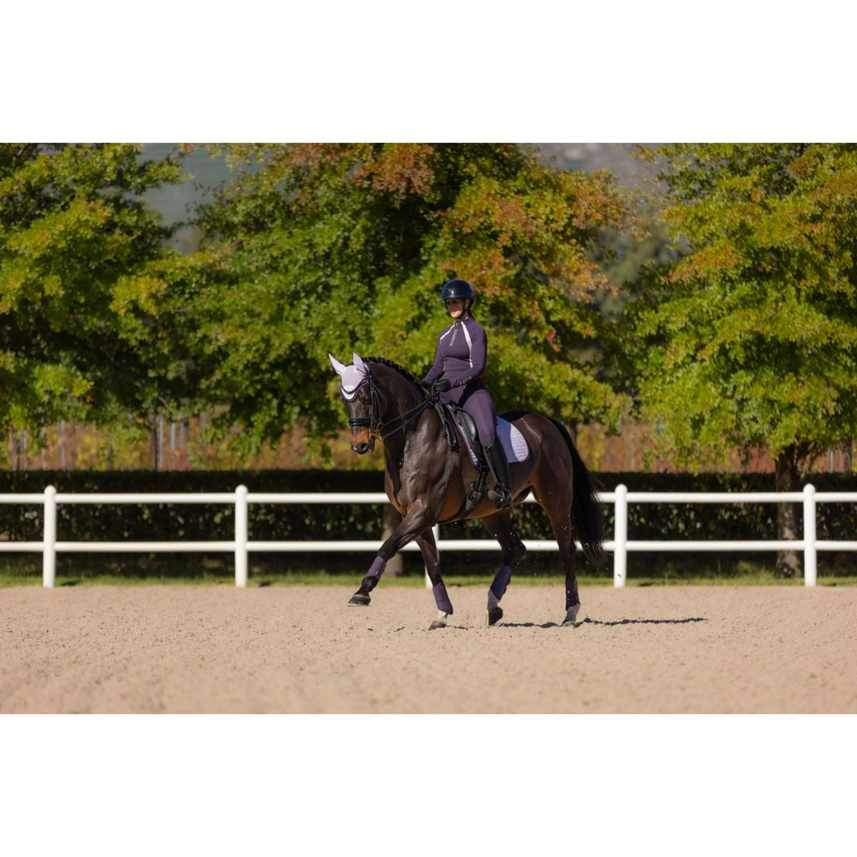 LeMieux Sottosella Suede Dressage Lilla