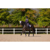 LeMieux Sottosella Suede Dressage Lilla