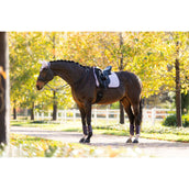 LeMieux Sottosella Suede Dressage Lilla