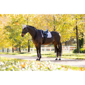 LeMieux Sottosella Suede Dressage Lilla