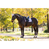 LeMieux Sottosella Suede Dressage Lilla