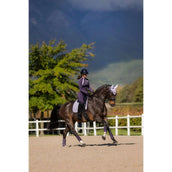 LeMieux Sottosella Suede Dressage Lilla