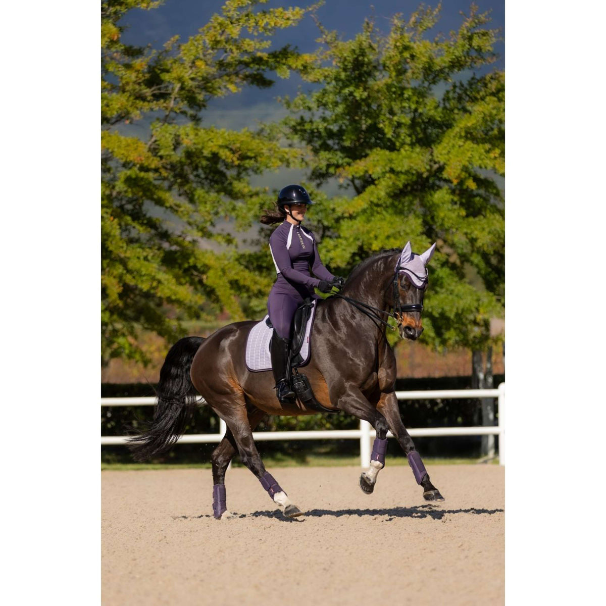 LeMieux Sottosella Suede Dressage Lilla