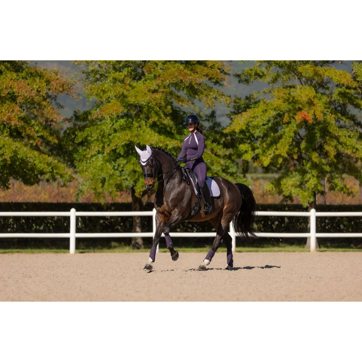 LeMieux Sottosella Suede Dressage Lilla