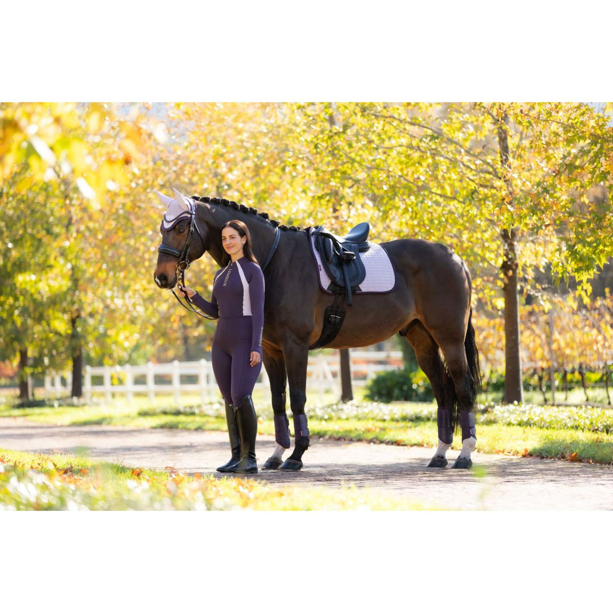 LeMieux Sottosella Suede Dressage Lilla