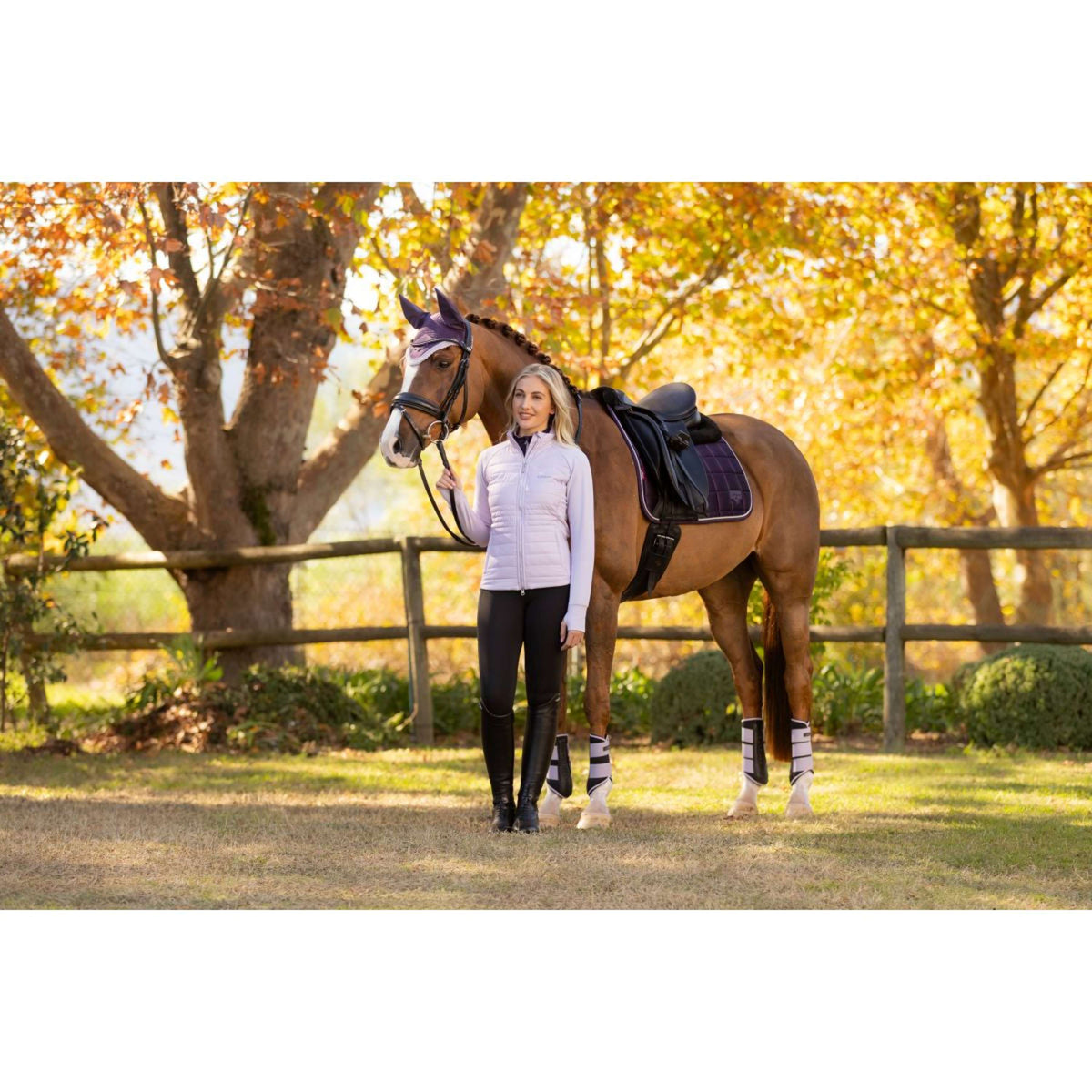 LeMieux Sottosella Merino Loire Classic Dressage Juniper