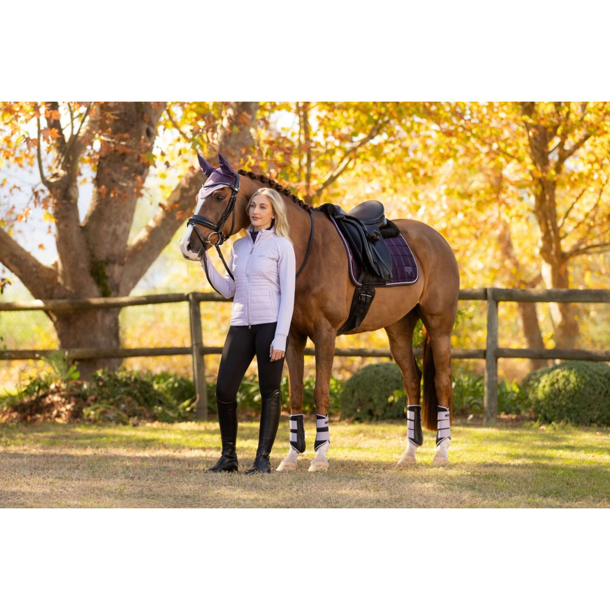 LeMieux Sottosella Merino Loire Classic Dressage Juniper