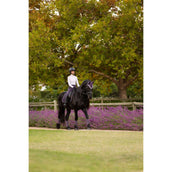 LeMieux Sottosella Loire Classic Dressage Juniper