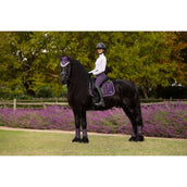 LeMieux Sottosella Loire Classic Dressage Juniper