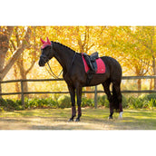 LeMieux Sottosella Loire Classic Dressage Cranberry
