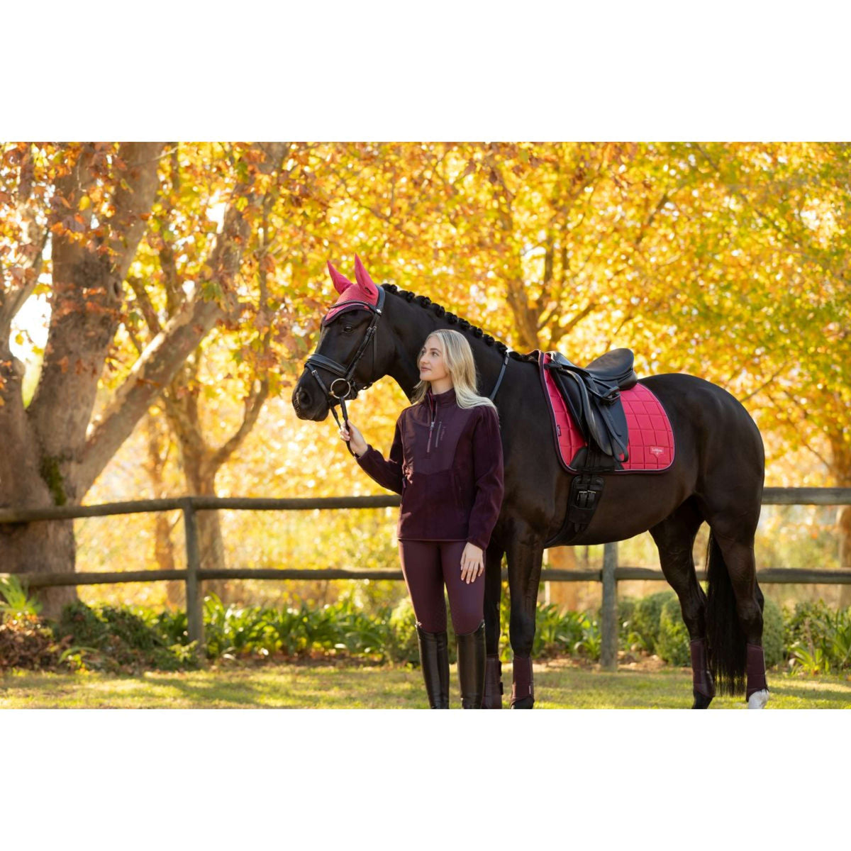 LeMieux Sottosella Loire Classic Dressage Cranberry