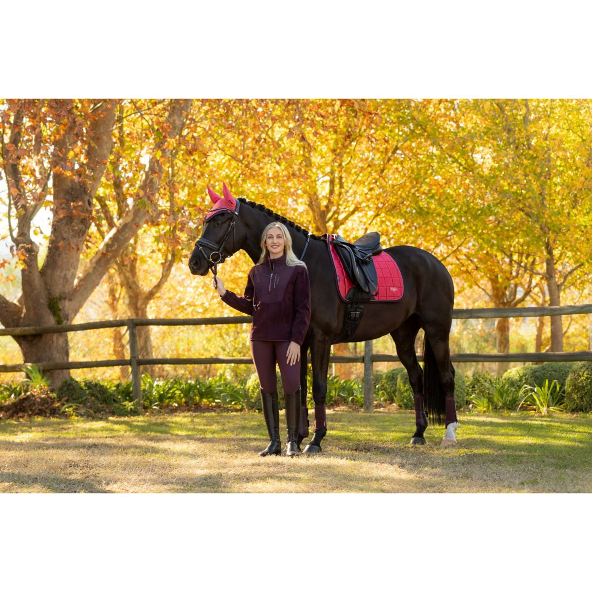 LeMieux Sottosella Loire Classic Dressage Cranberry