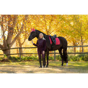 LeMieux Sottosella Loire Classic Dressage Cranberry