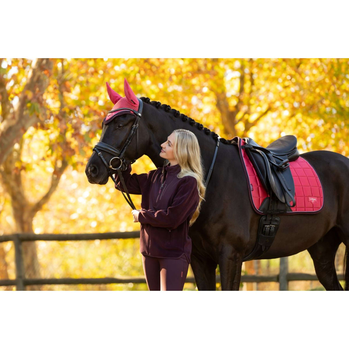 LeMieux Sottosella Loire Classic Dressage Cranberry