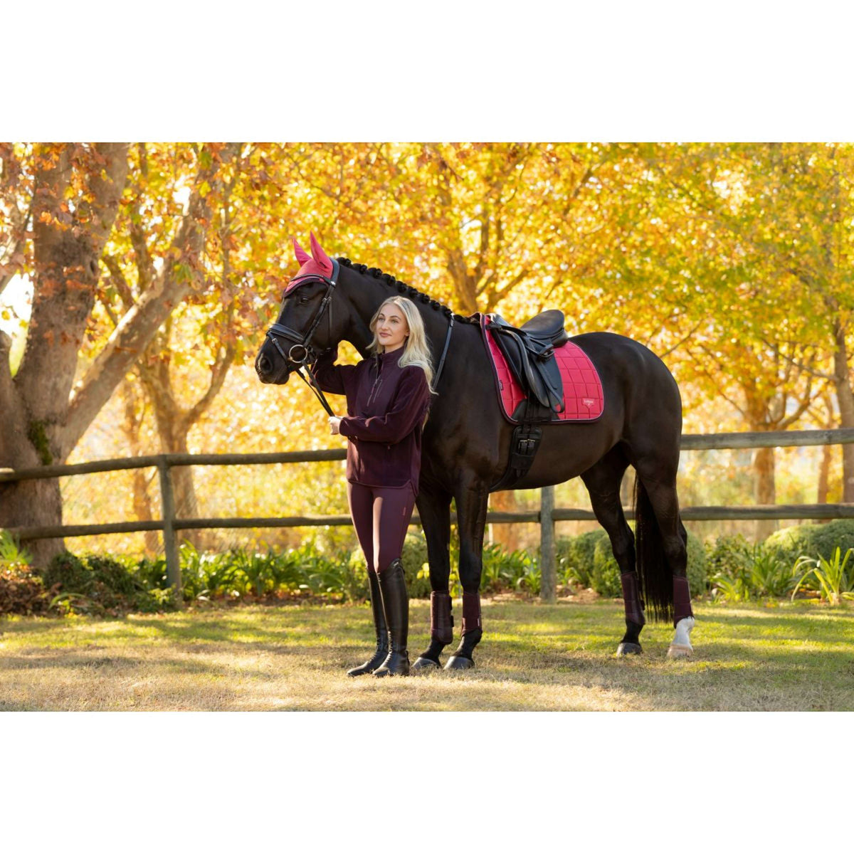 LeMieux Sottosella Loire Classic Dressage Cranberry