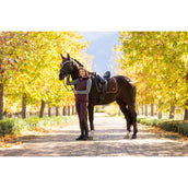 LeMieux Sottosella Loire Classic Dressage Damson