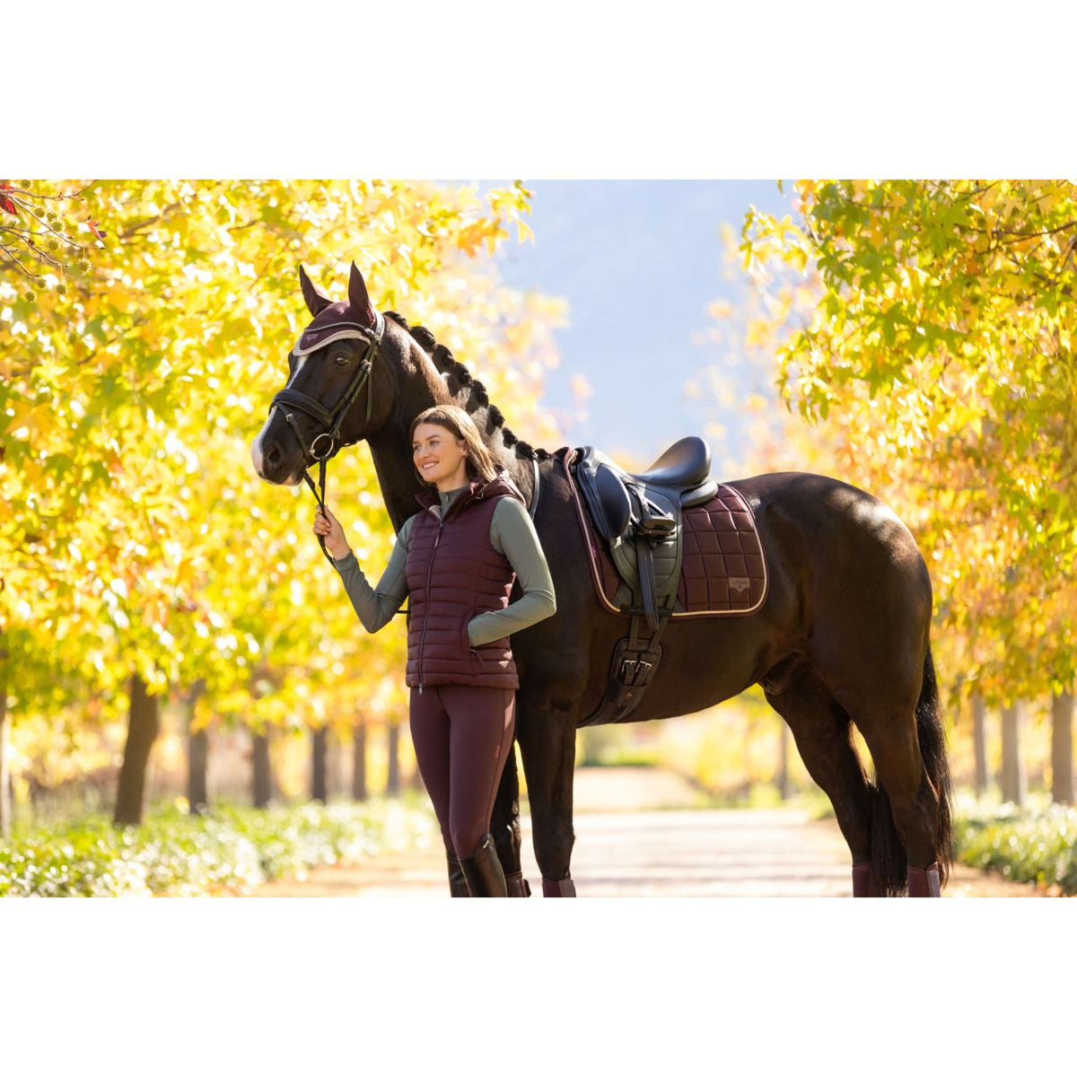 LeMieux Sottosella Loire Classic Dressage Damson