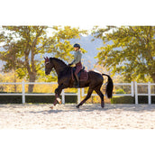 LeMieux Sottosella Loire Classic Dressage Damson