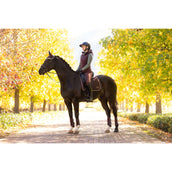 LeMieux Sottosella Loire Classic Dressage Damson