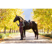 LeMieux Sottosella Loire Classic Dressage Damson