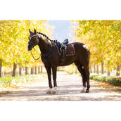 LeMieux Sottosella Loire Classic Dressage Damson
