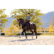 LeMieux Sottosella Loire Classic Dressage Damson