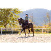 LeMieux Sottosella Loire Classic Dressage Damson