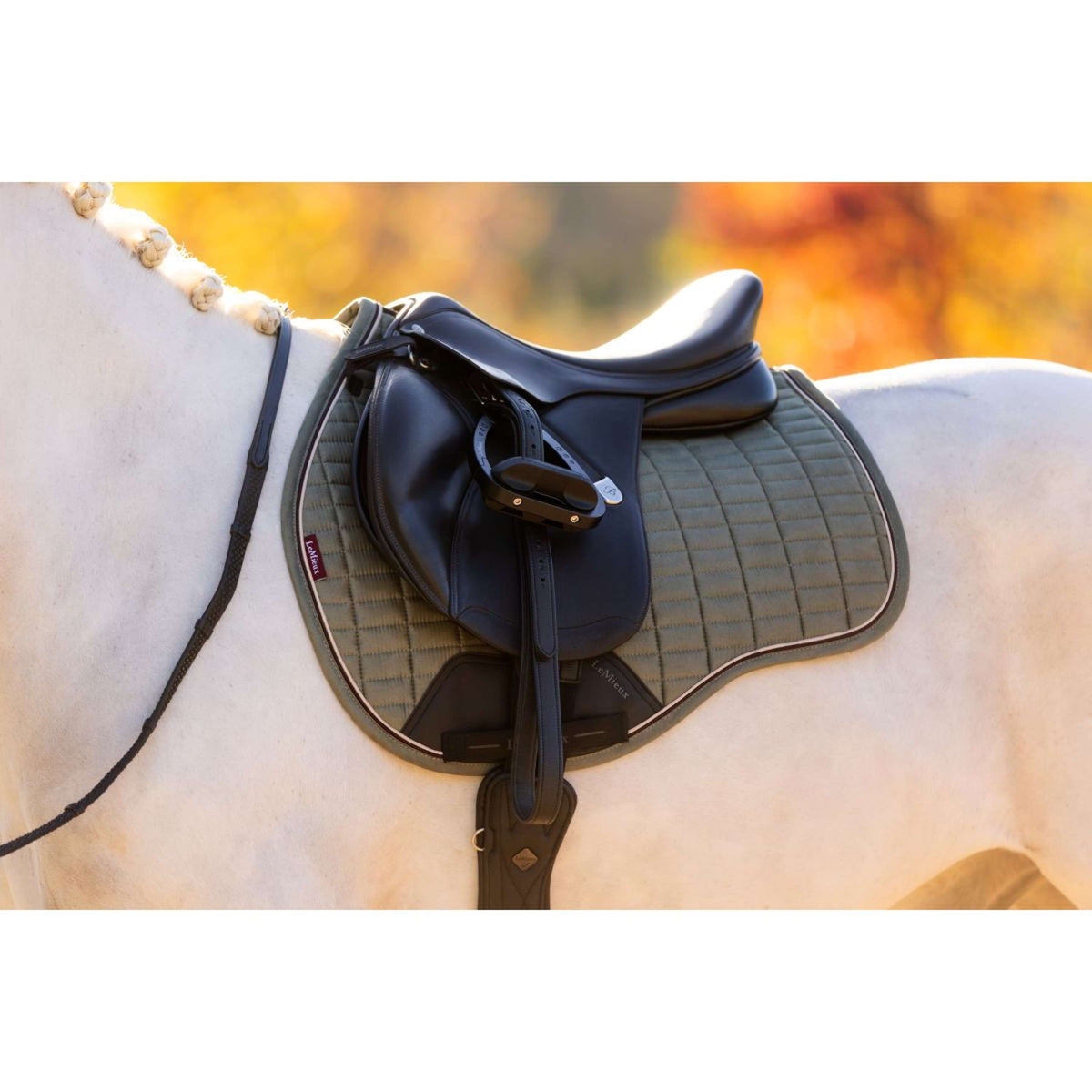 LeMieux Sottosella Suede Uso generale Rosemary