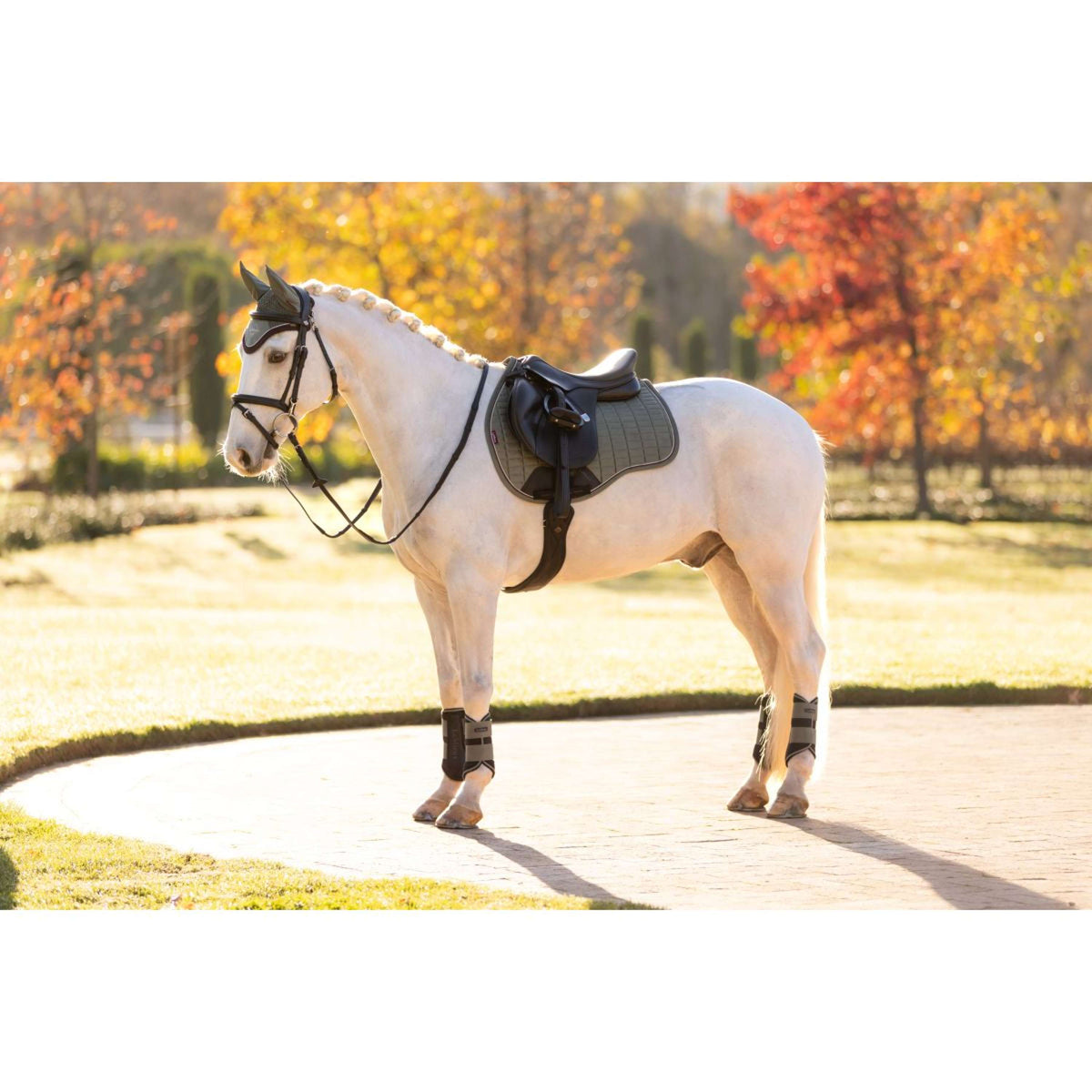 LeMieux Sottosella Suede Uso generale Rosemary