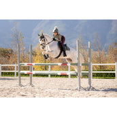 LeMieux Sottosella Suede Uso generale Rosemary