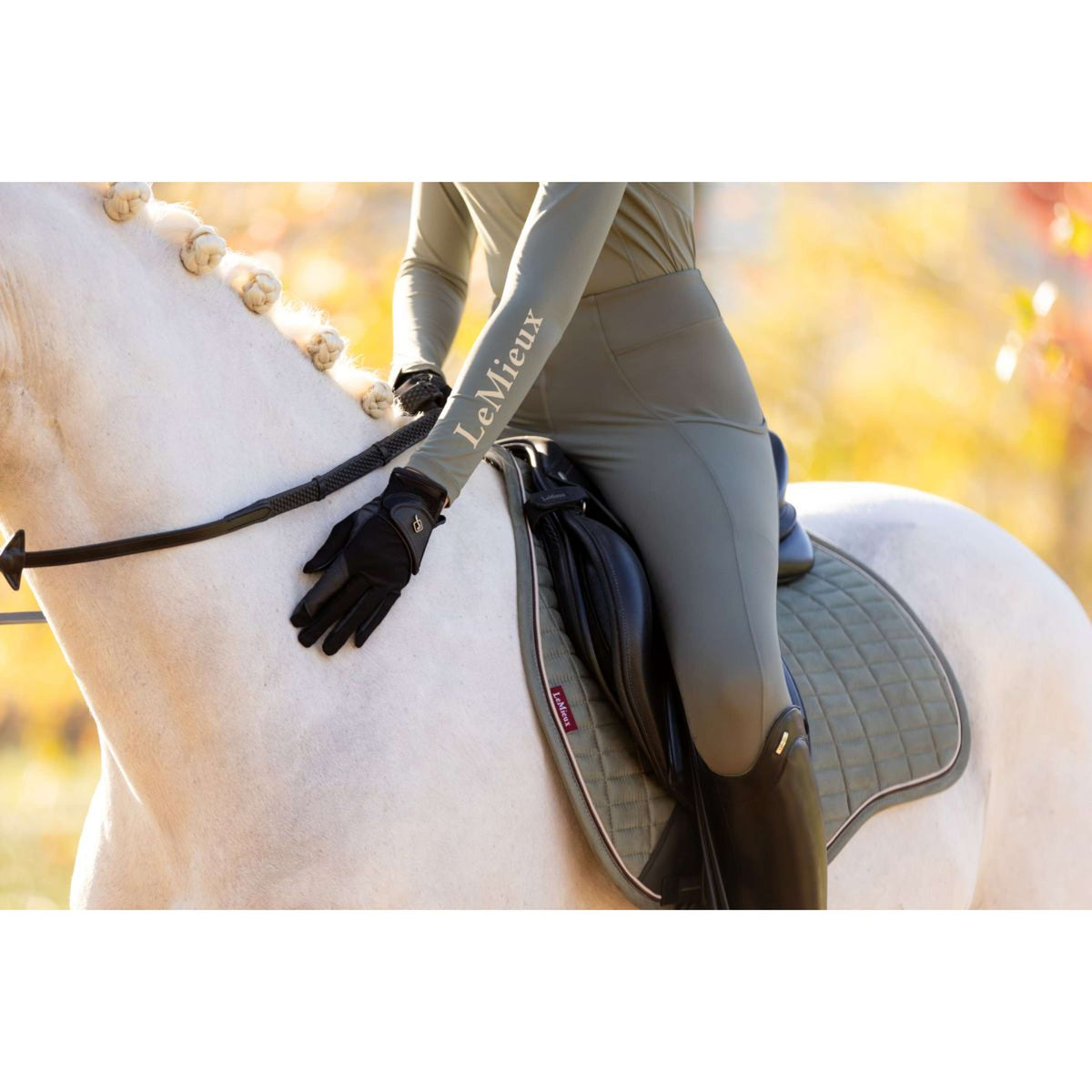 LeMieux Sottosella Suede Uso generale Rosemary