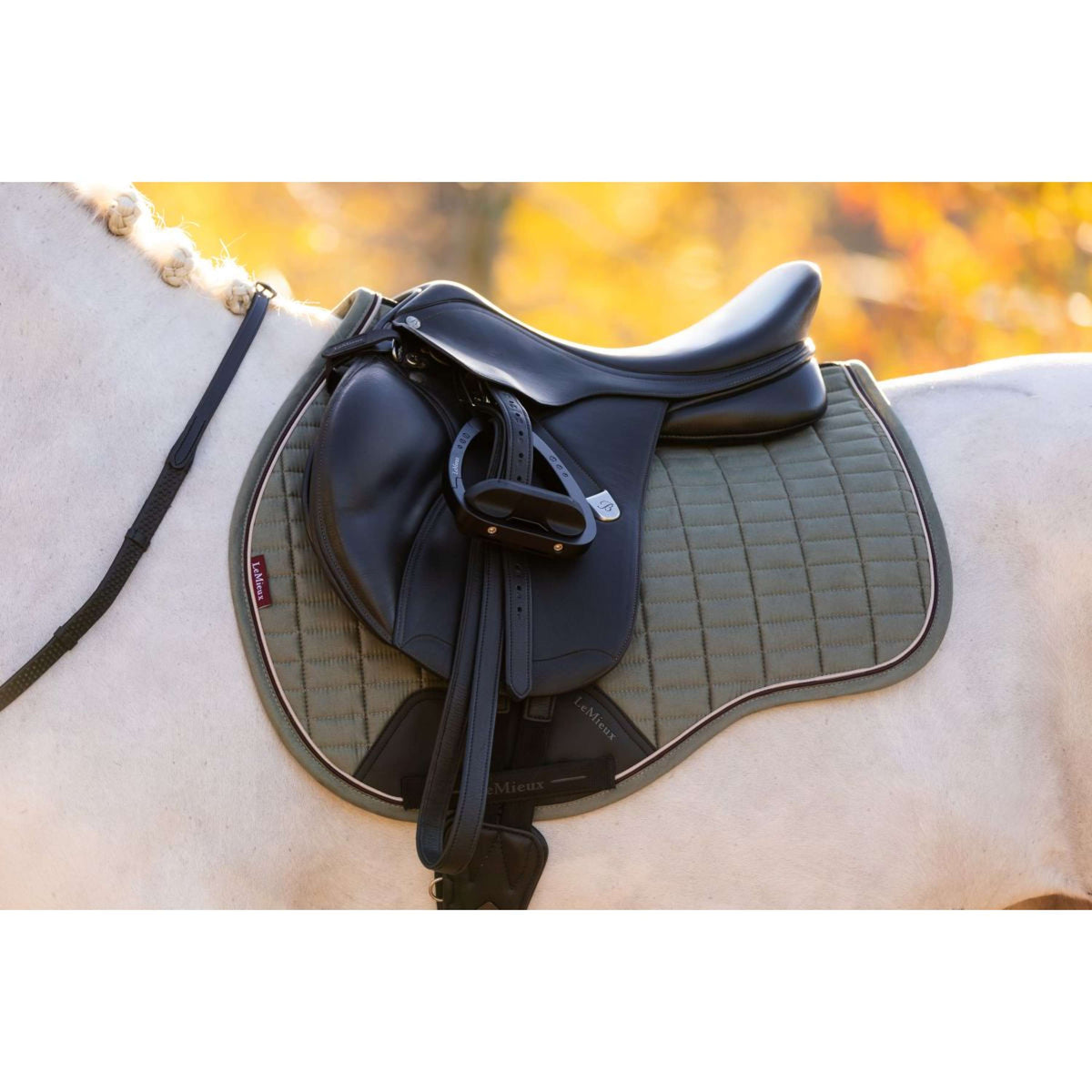 LeMieux Sottosella Suede Uso generale Rosemary