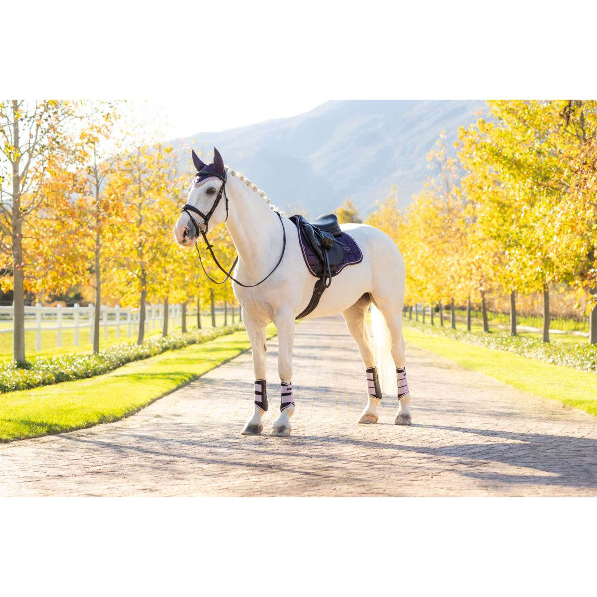 LeMieux Sottosella Loire Classic Uso generale Juniper