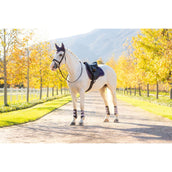 LeMieux Sottosella Loire Classic Uso generale Juniper