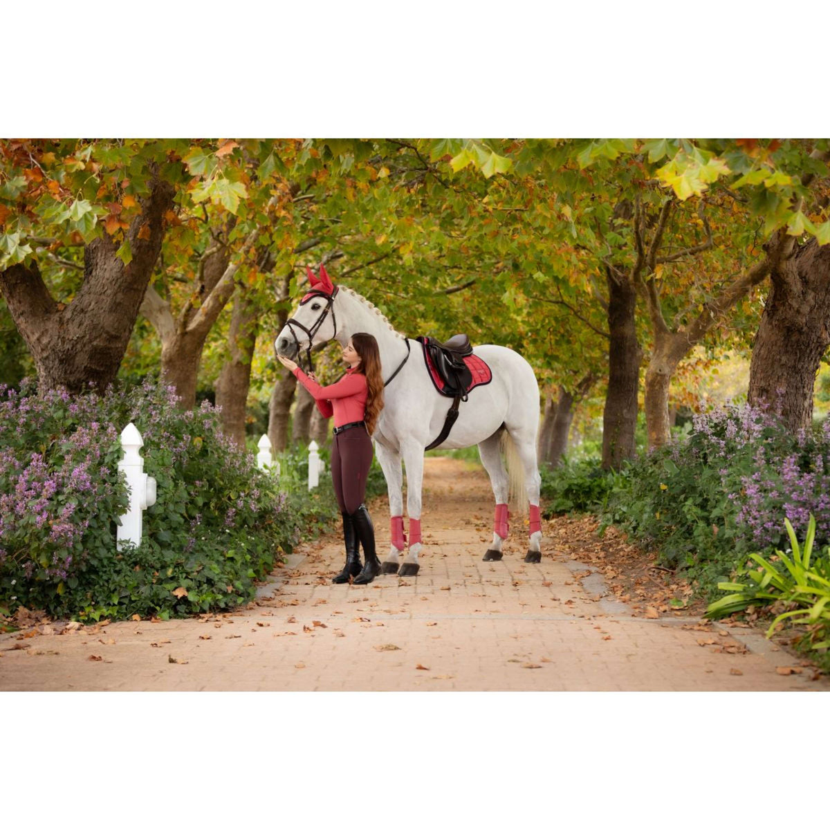 LeMieux Sottosella Loire Classic Uso generale Cranberry