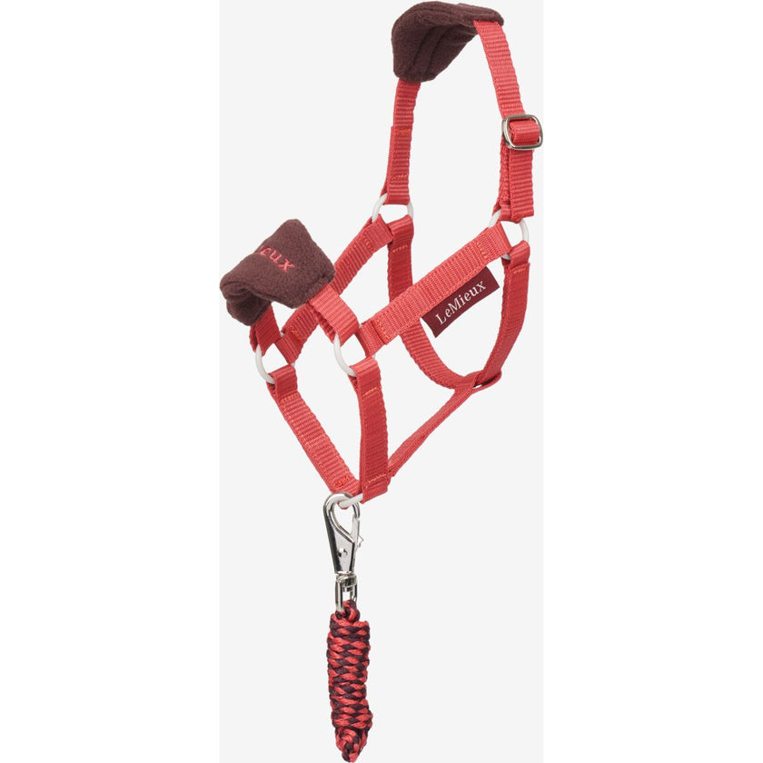 LeMieux Cavallo da hobby Halster Vogue Cranberry LeMieux Cavallo da hobby Halster Vogue Cranberry