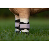LeMieux Toy Pony Protezioni per le Gambe Lilla